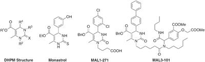 A Five-Component Biginelli-Diels-Alder Cascade Reaction